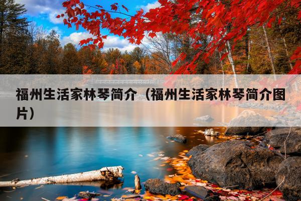 福州生活家林琴簡(jiǎn)介（福州生活家林琴簡(jiǎn)介圖片）